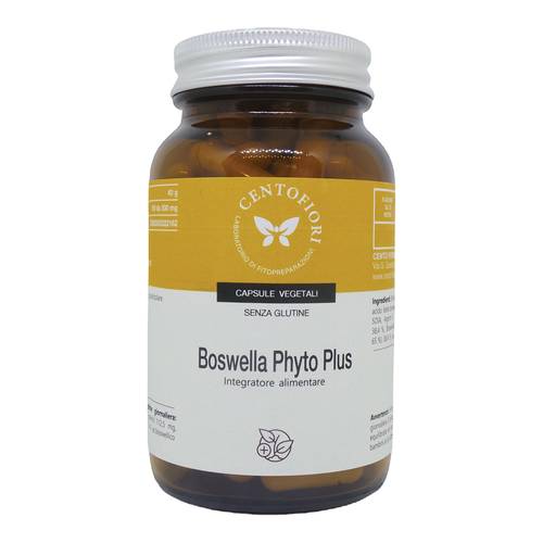 Boswellia Phyto Plus 100 cps