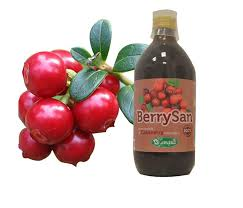 Berrysan Succo di Cranberry Bio 500ml