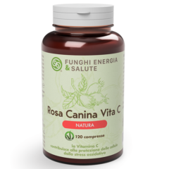 rosa canina vita c